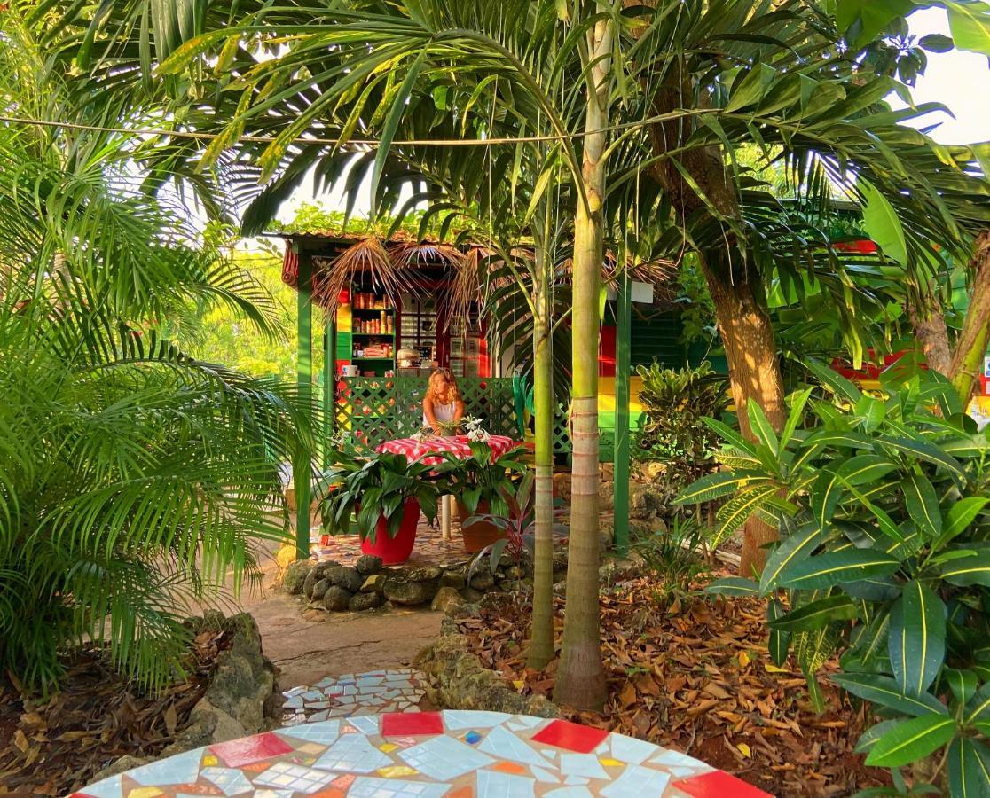 Ostello Judy House And Negril
